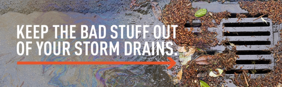 Keep the bad stuff out of your storm drains.