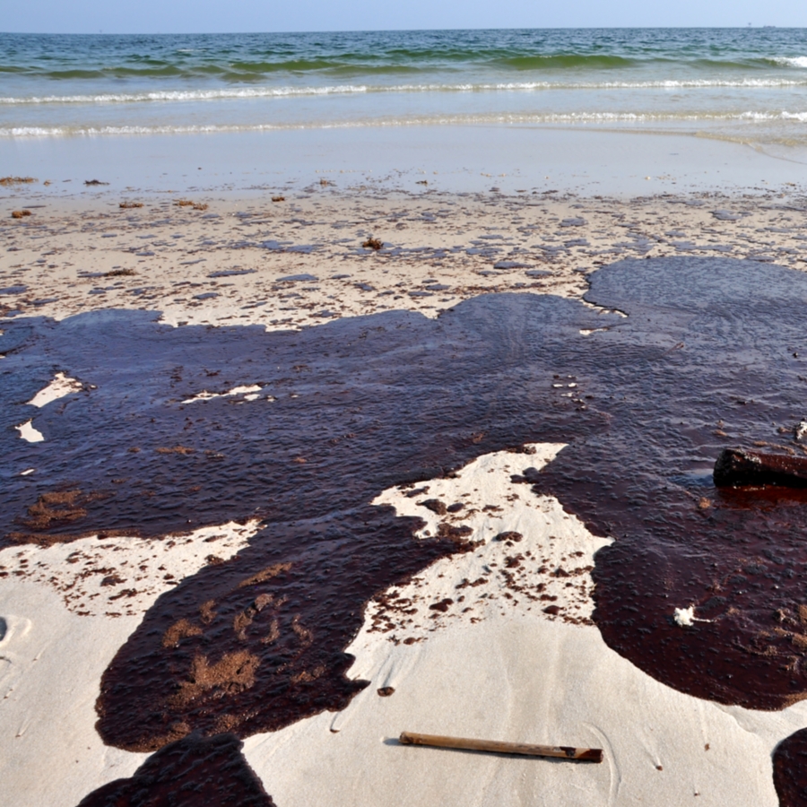 Сосна утонет в нефти. Загрязнение мирового океана разлив нефти. Экологическая катастрофа в персидском заливе. Выбросы нефти в мировой океан. Ytanyjt загрязнение мирового океана.