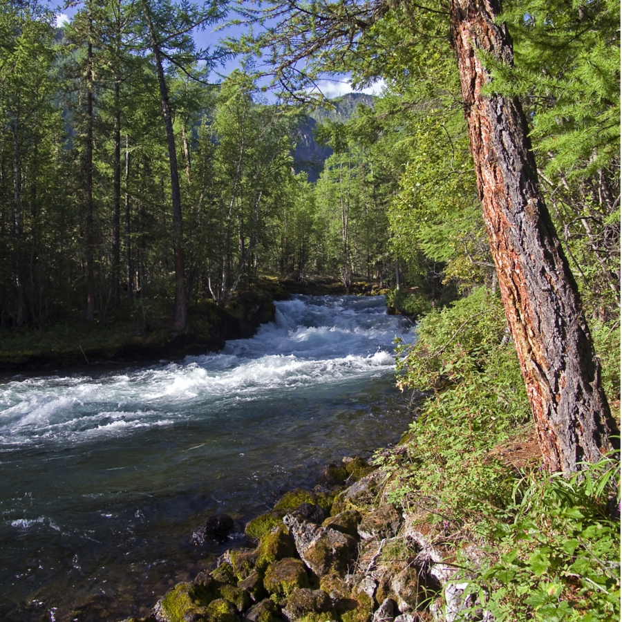 Calculate Secondary Containment Expert Advice